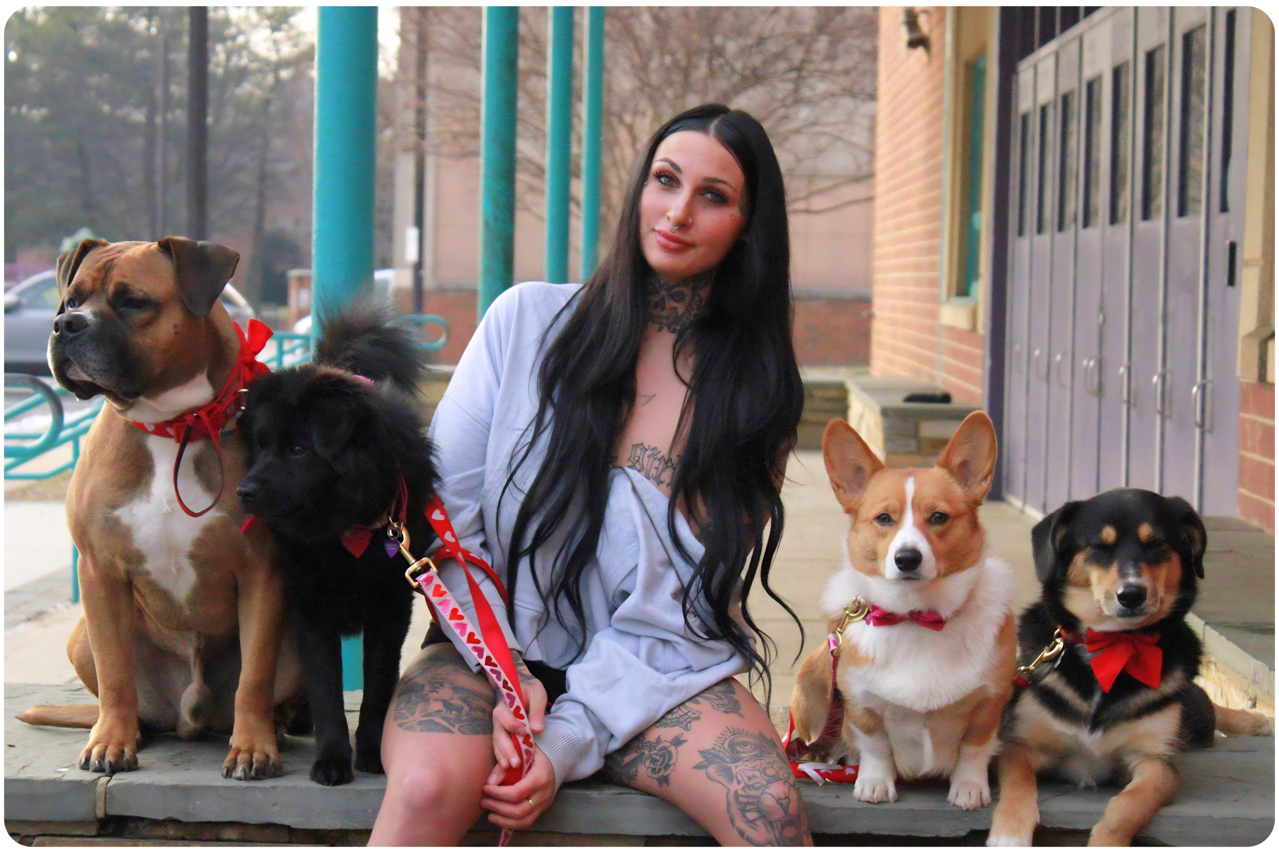 DOG TRAINER
